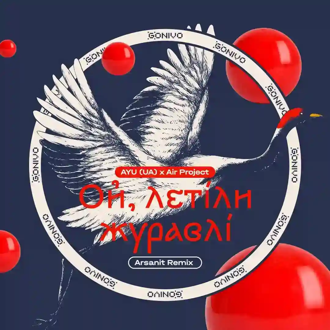Oy, letily zhuravli (Arsanit Remix) cover