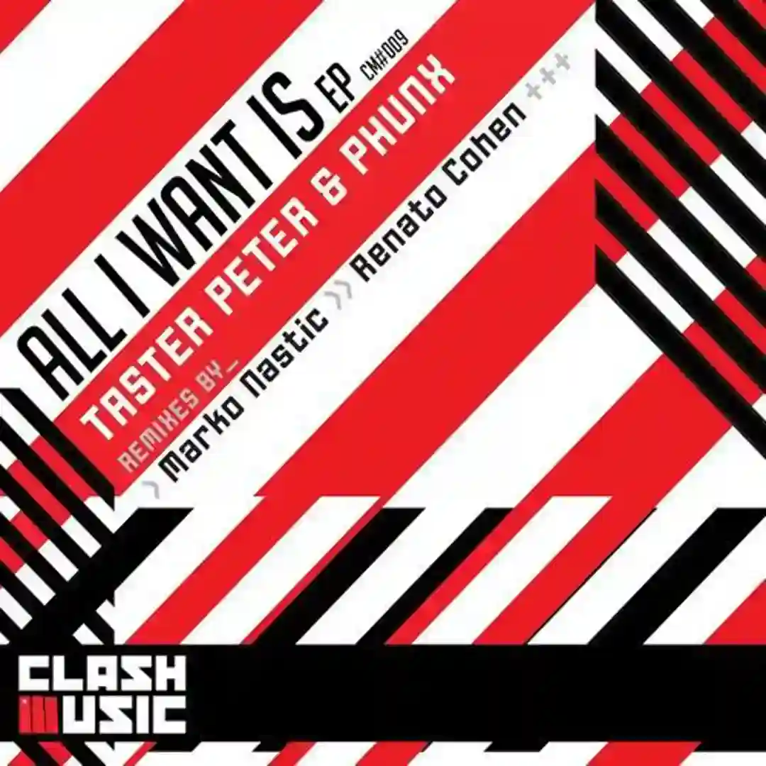 All I Want Is Musica (Vocal Mix) cover