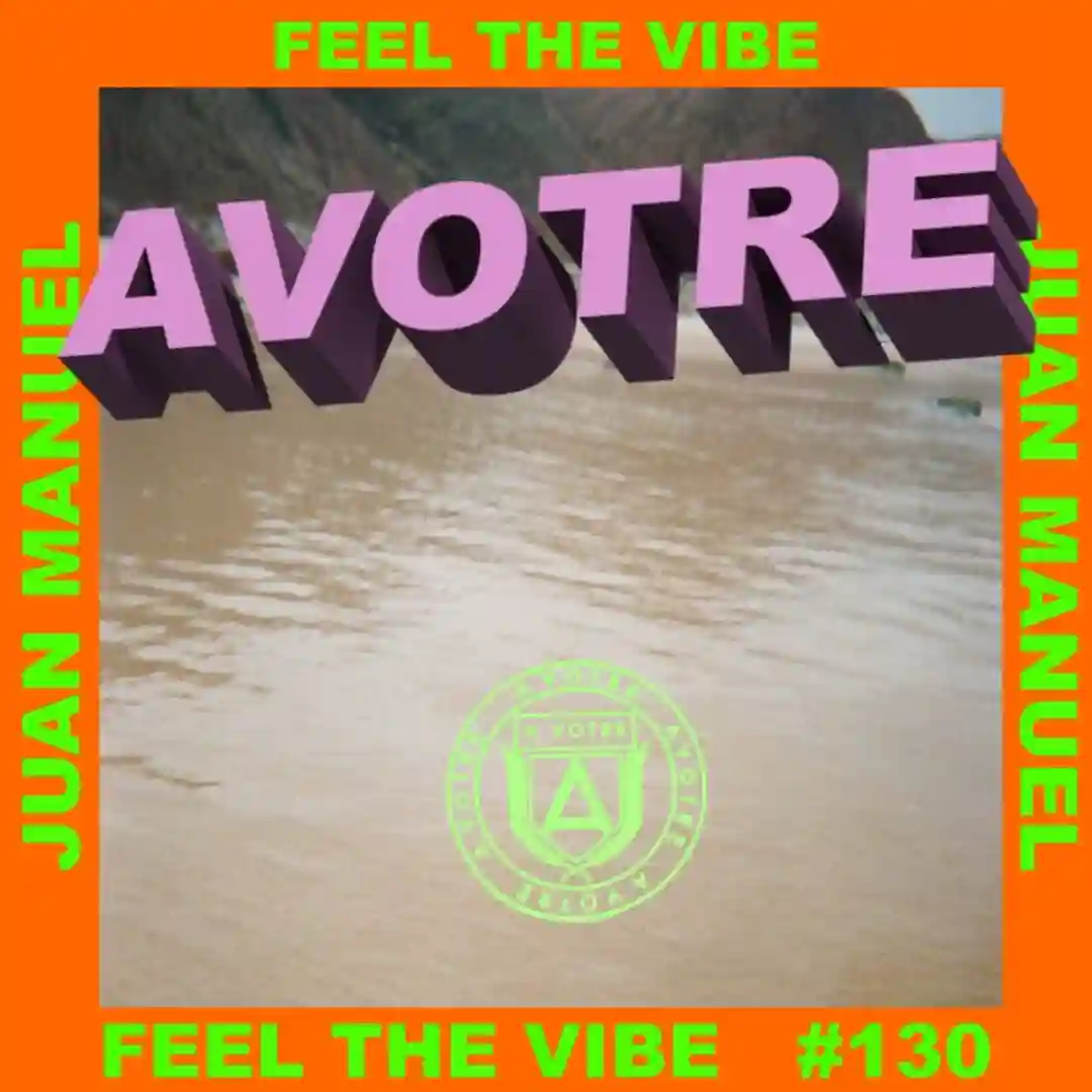 Feel The Vibe (Extended Mix) cover
