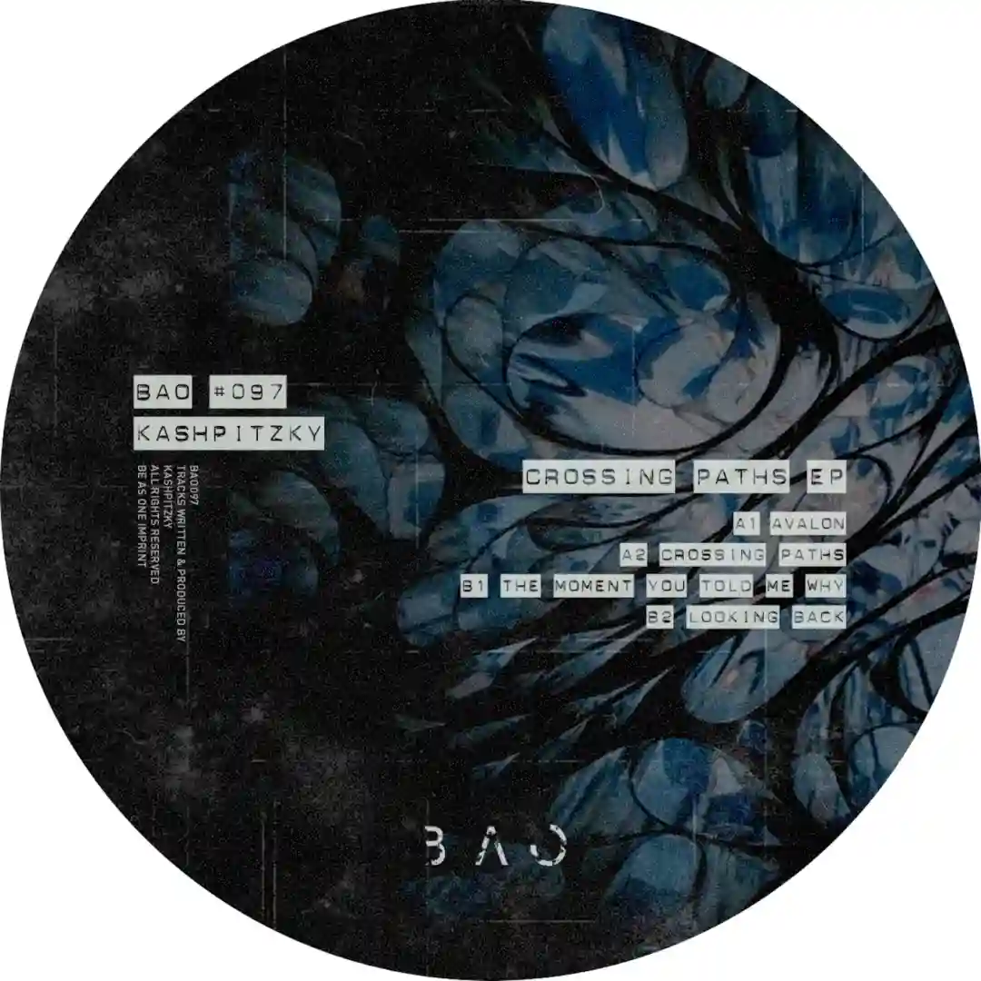 Crossing Paths (Original Mix) cover