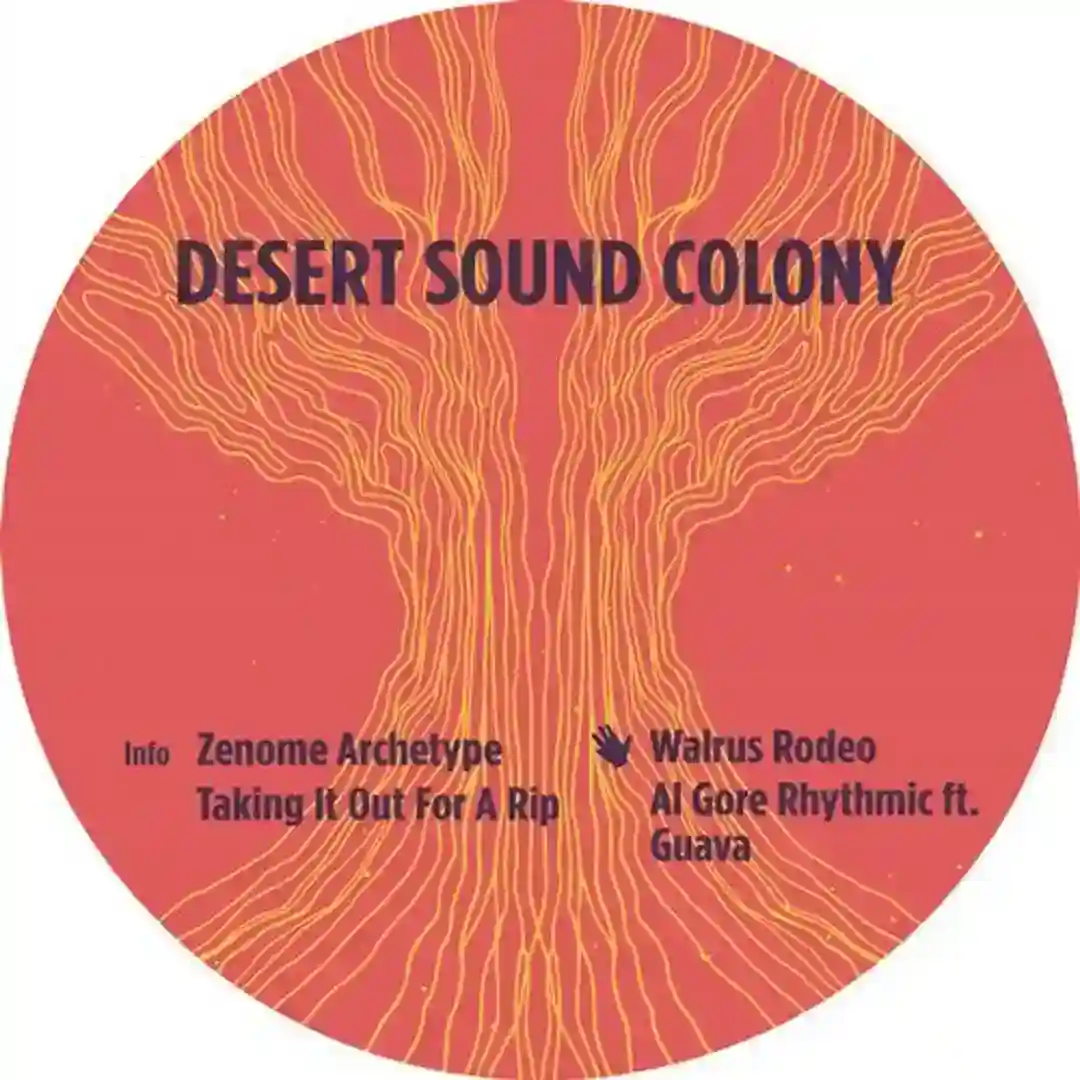 Walrus Rodeo (Original Mix) cover