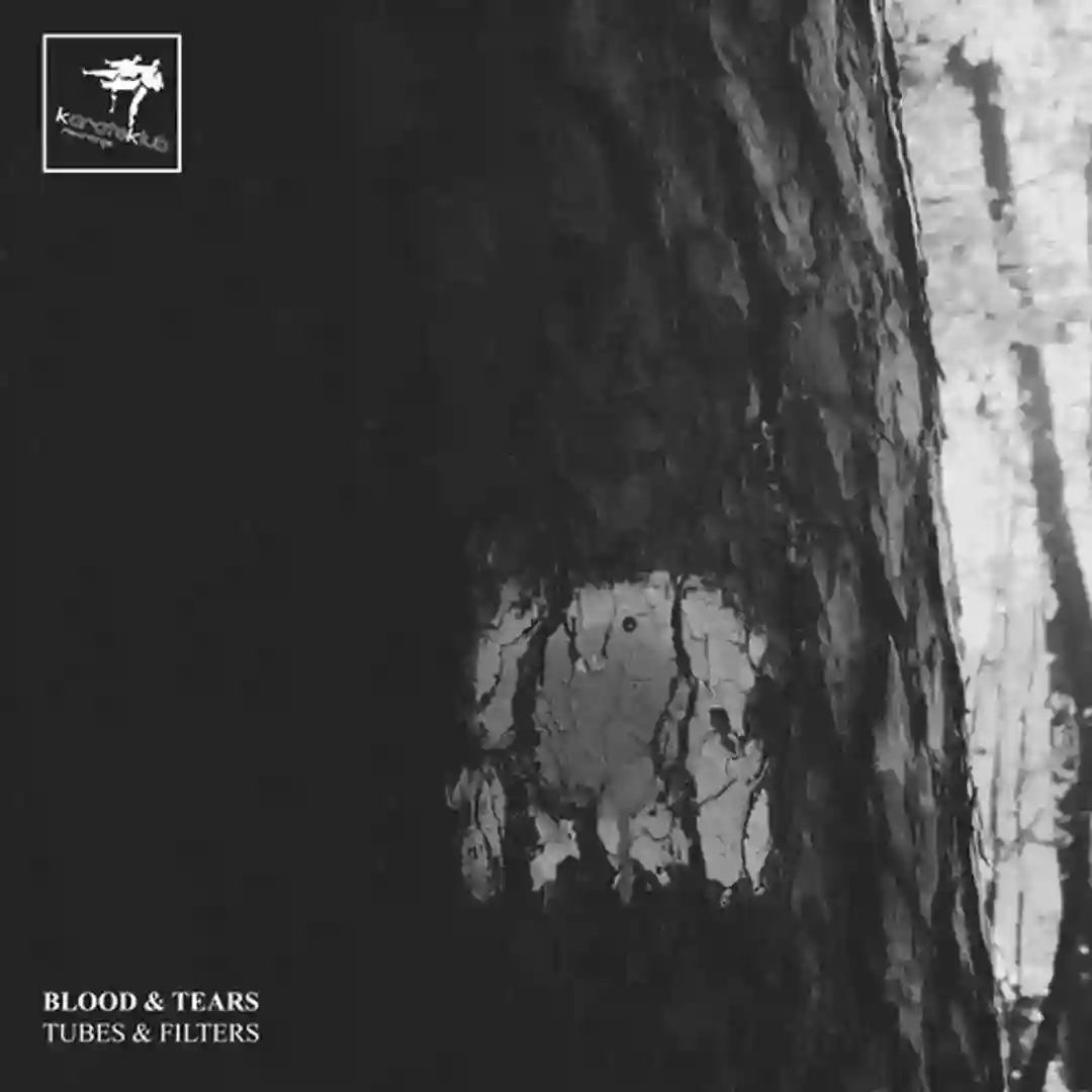 Dark Filter (Original Mix) cover