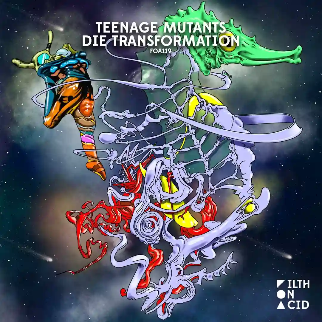 Die Transformation cover