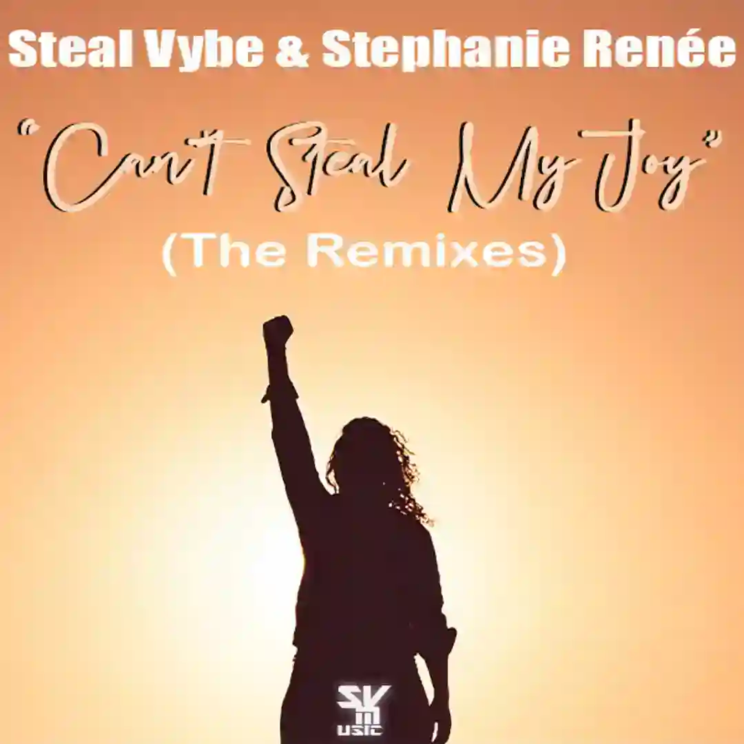 Can't Steal My Joy (Chris Forman's Living In Paradise Mix) cover