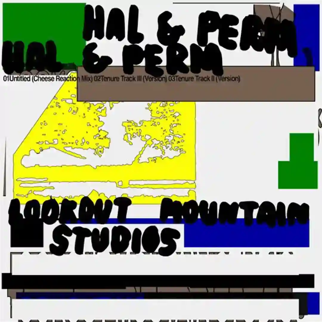 Tenure Track II (Version) cover