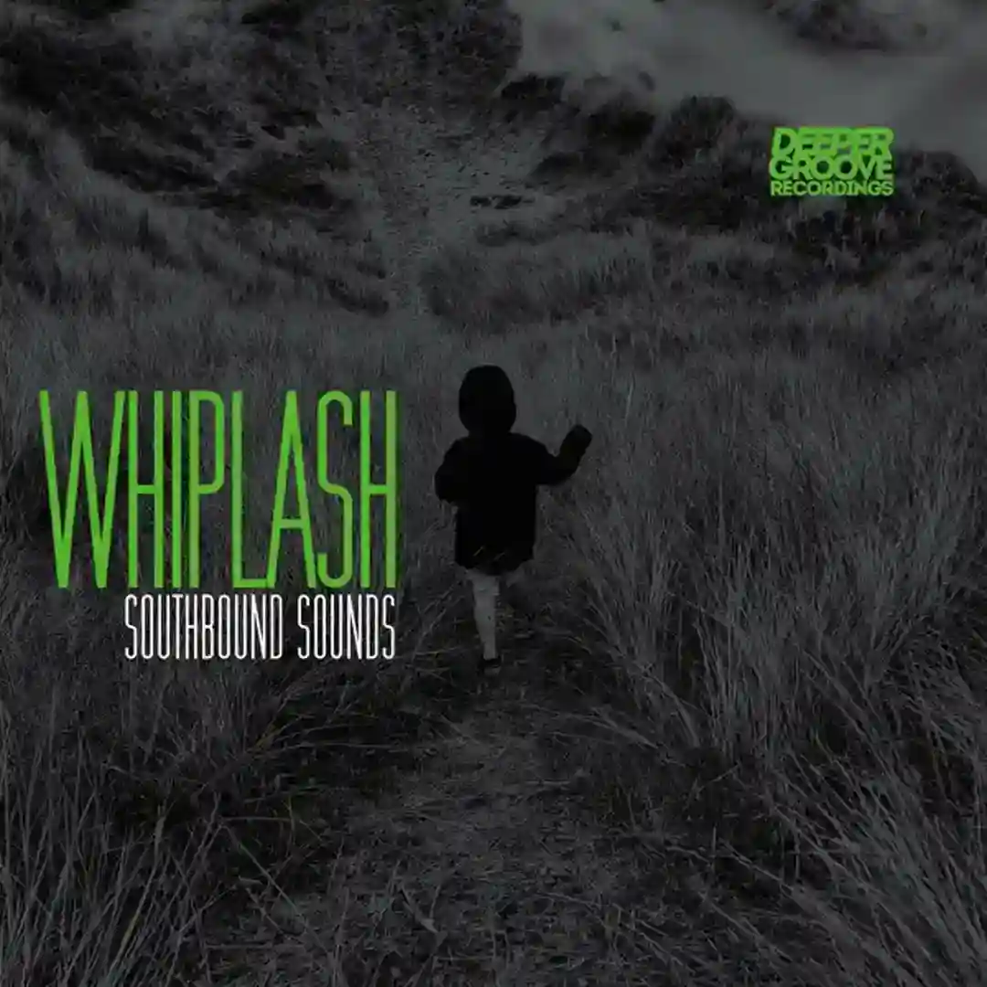 Whiplash (Original Mix) cover