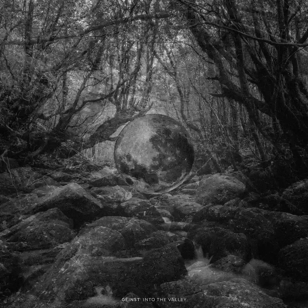 Into the Valley cover