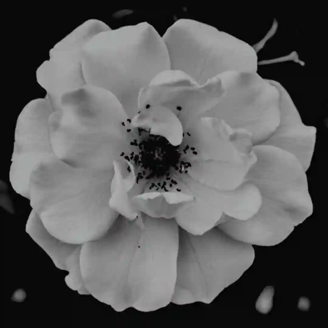 Story (Ambient Version) cover