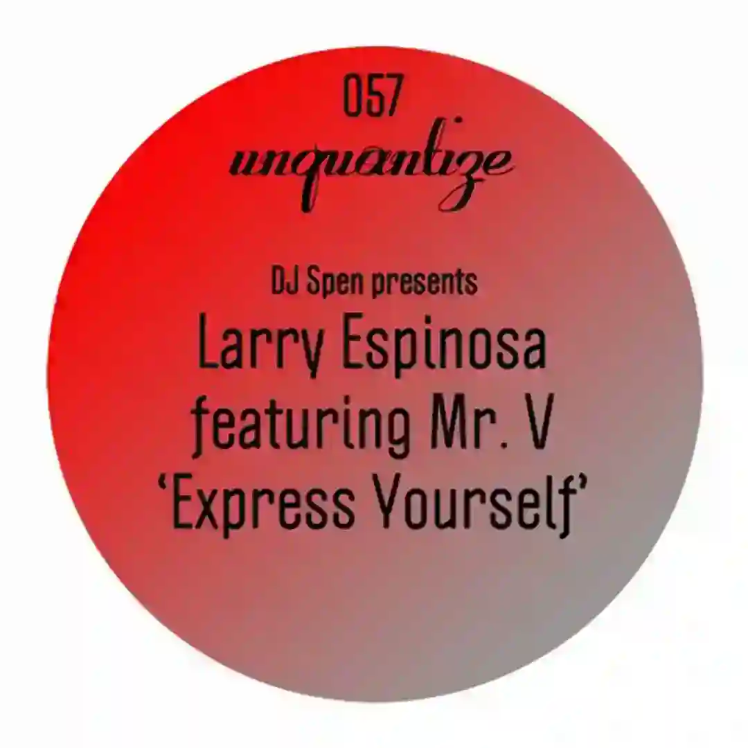 Express Yourself feat. Mr. V (Original Mix) cover