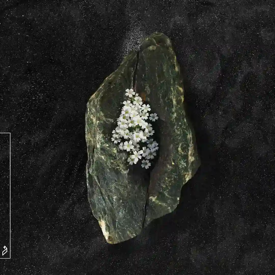 Polar Bears (Extended Mix) cover