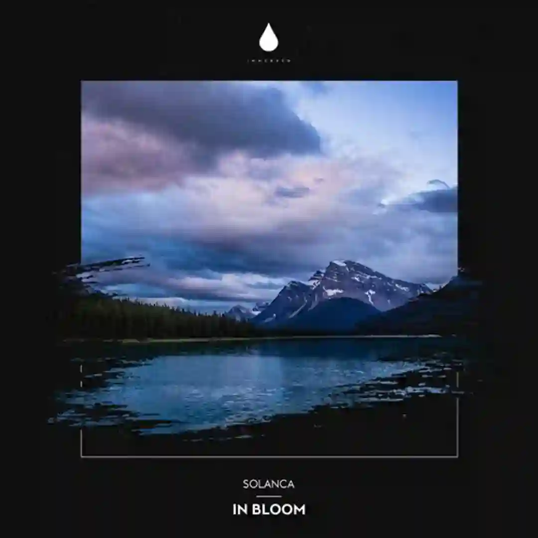 In Bloom cover