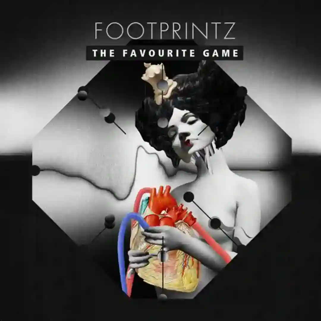 The Favourite Game cover