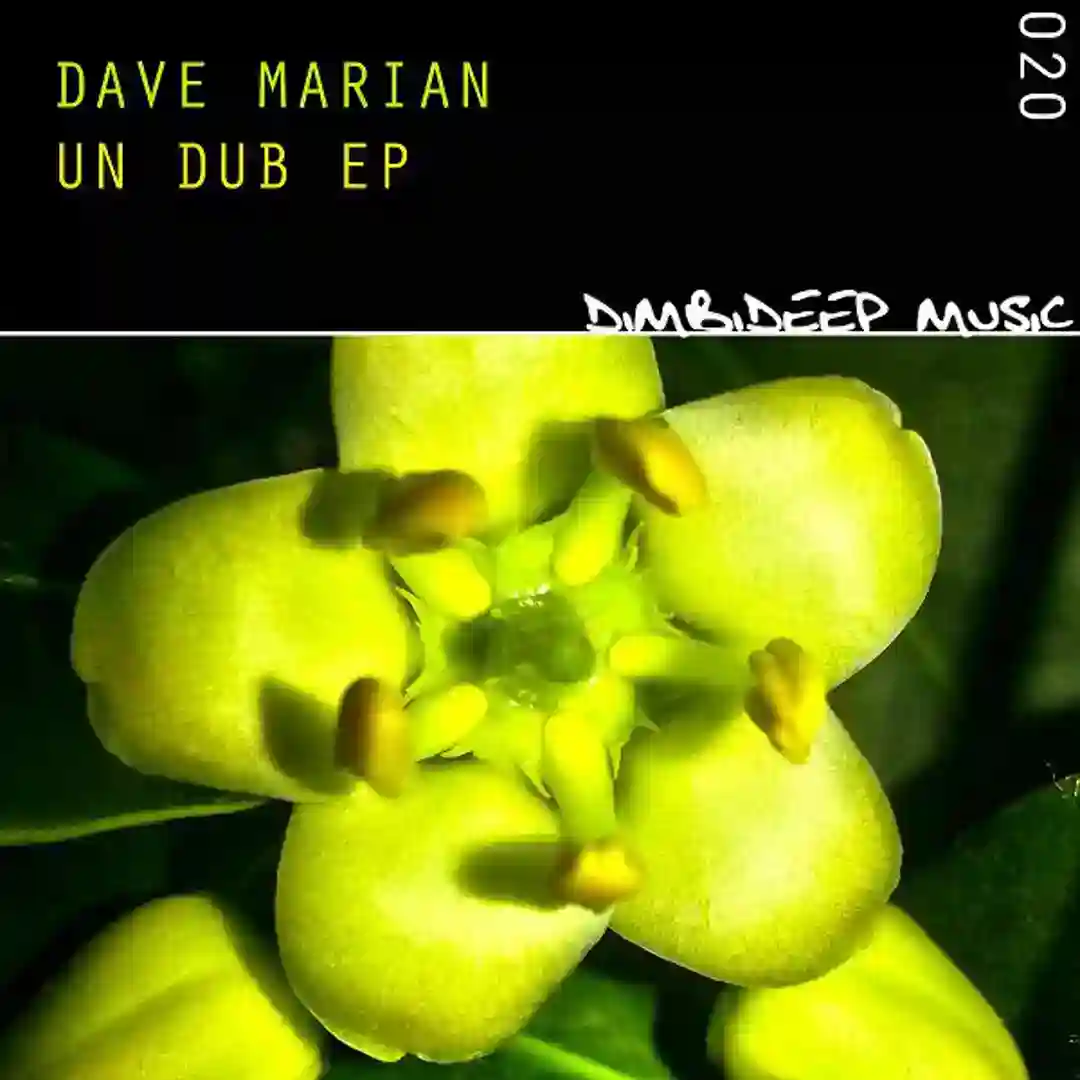 Un Dub 1.1 cover