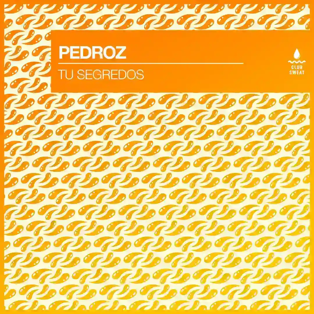 Tu Segredos (Extended Mix) cover