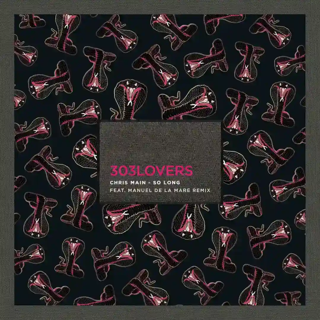 So Long (Manuel De La Mare Remix) cover