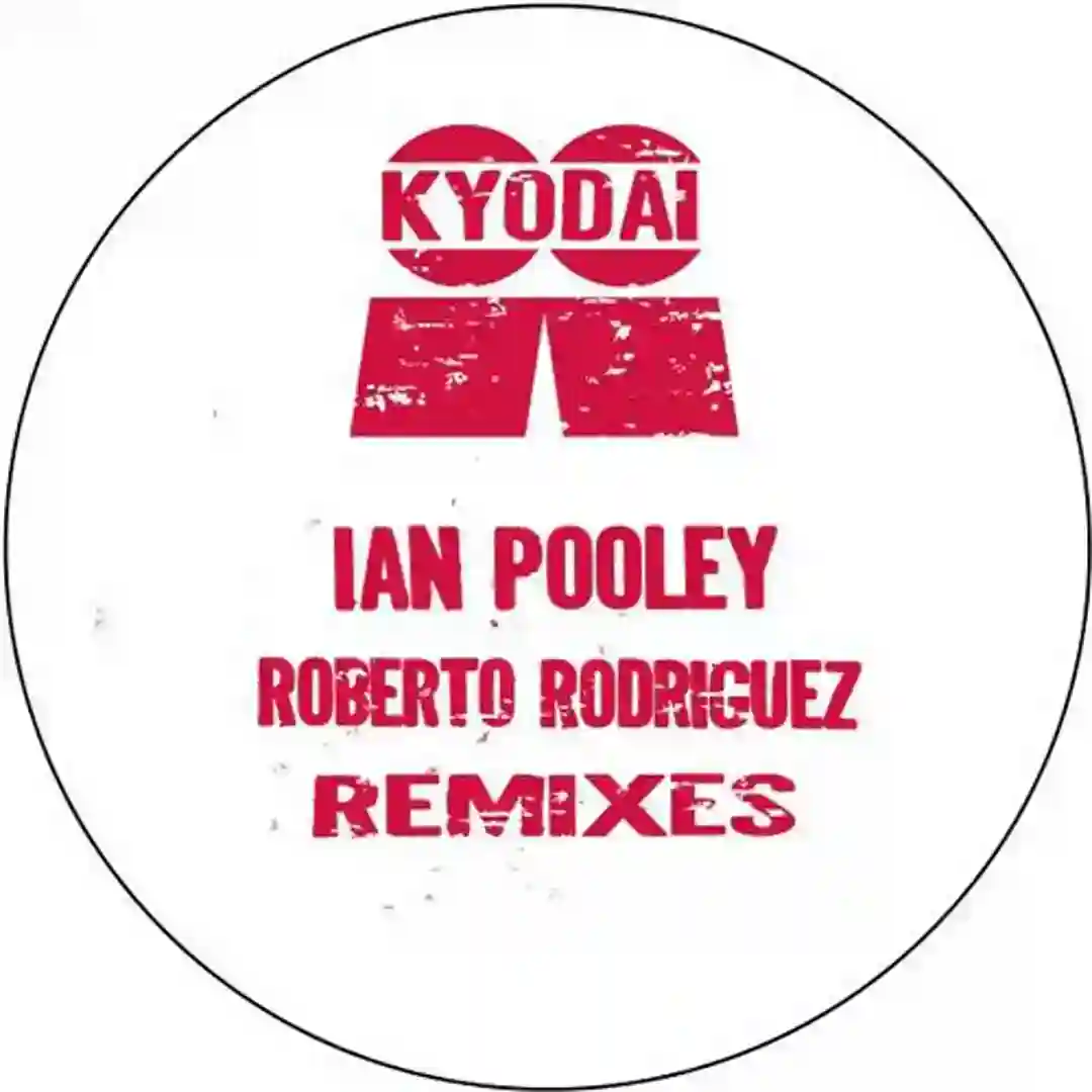 Breaking (Roberto Rodriguez Remix) cover