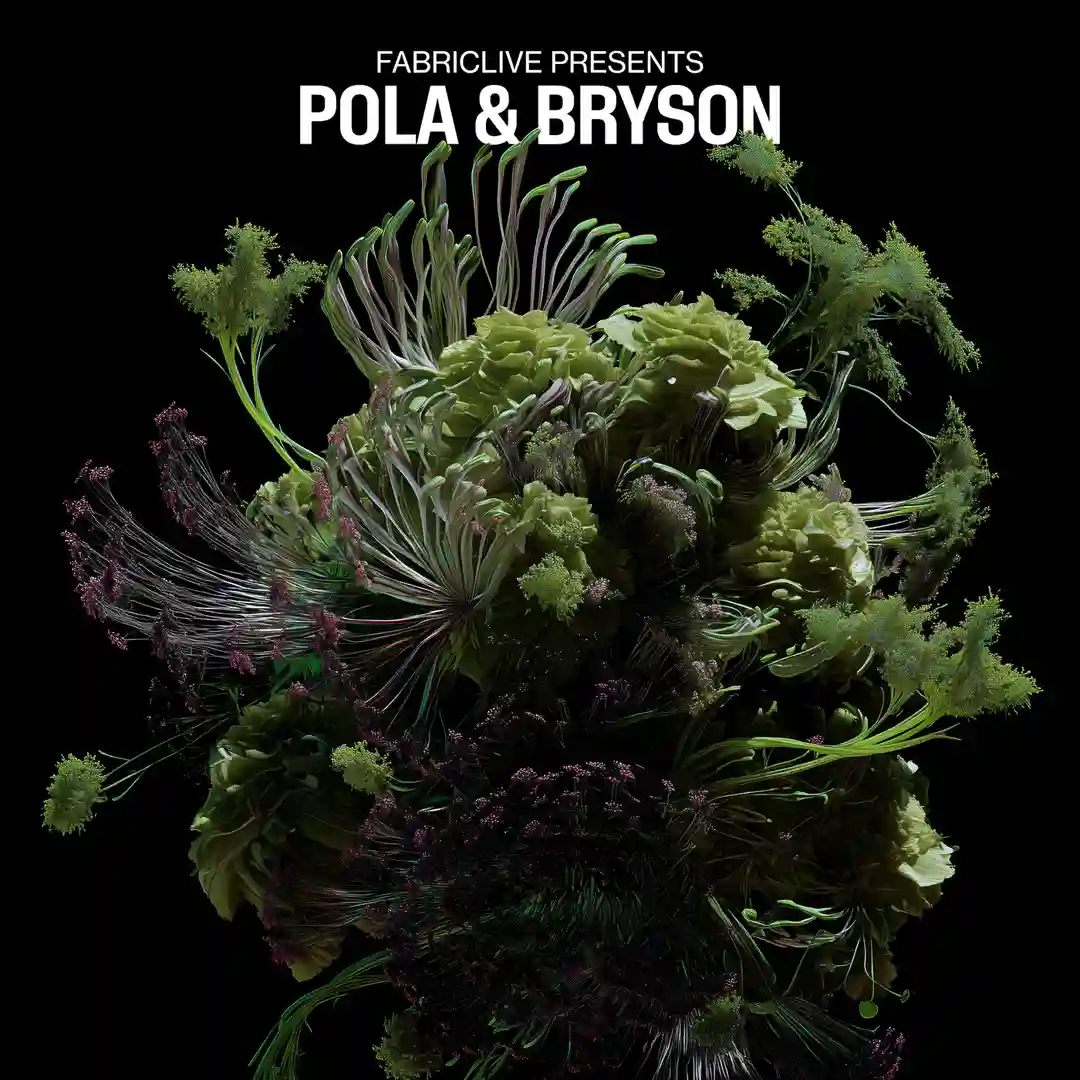 Aurora (Mixed) cover