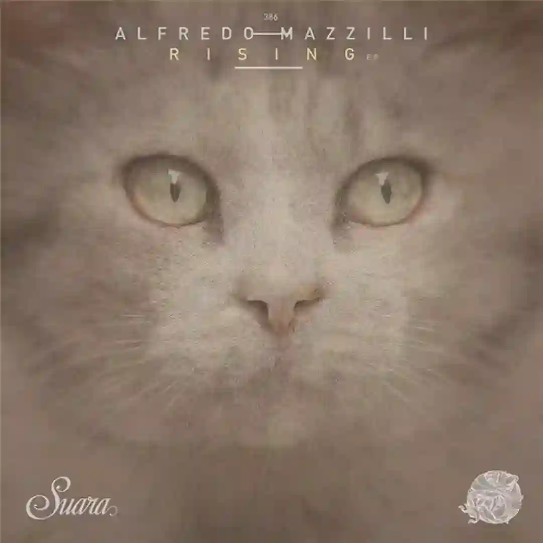 Elisyr (Original Mix) cover