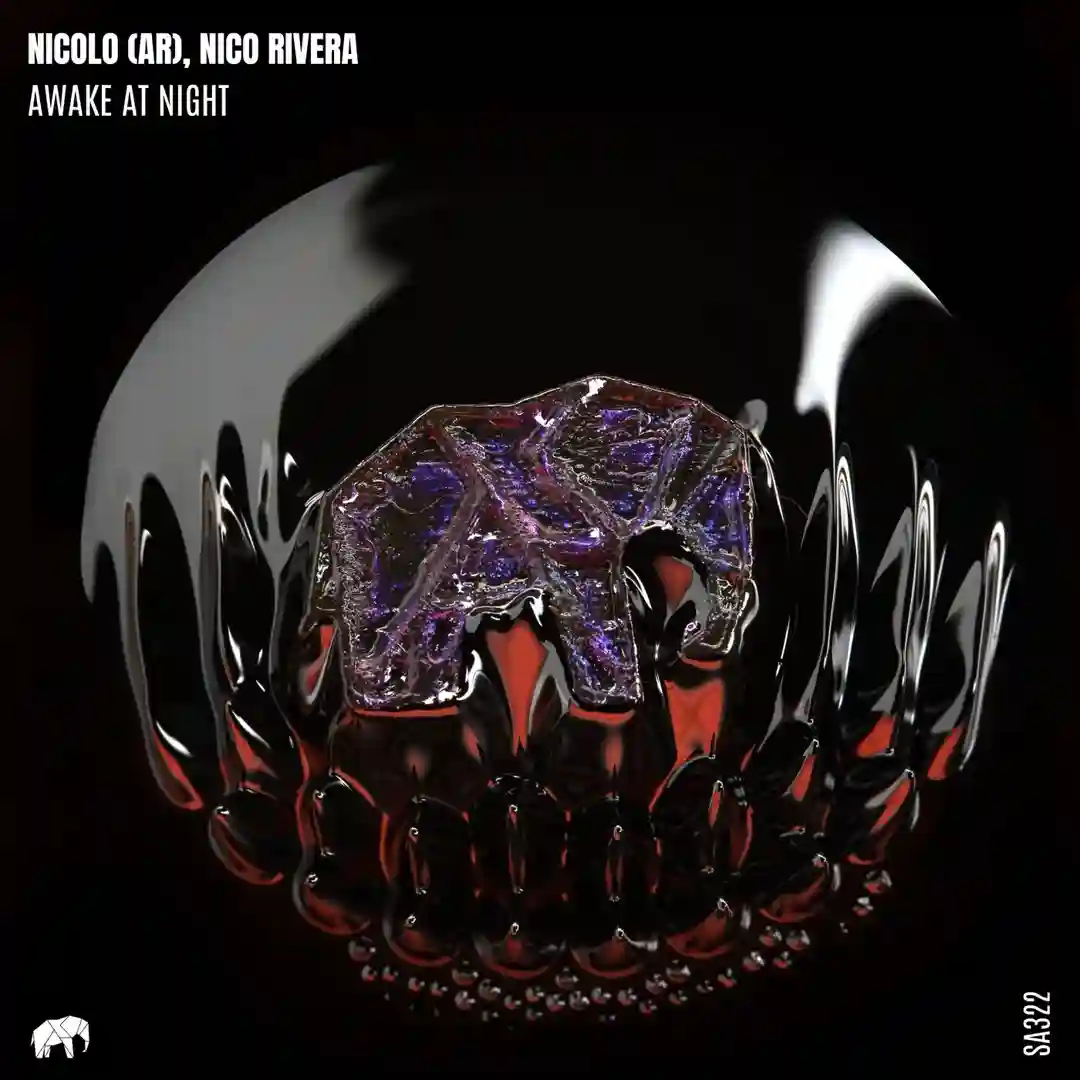 Awake at Night cover