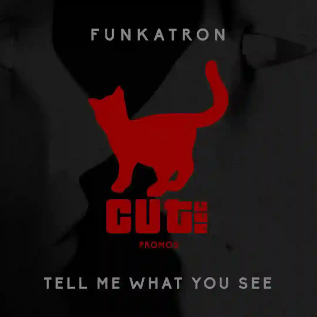 Tell Me What You See (Original Mix) cover
