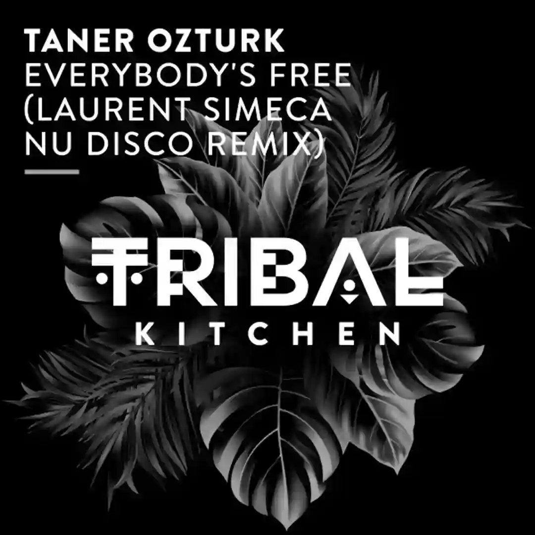 Everybody's Free (Laurent Simeca Extended Nu Disco Remix) cover