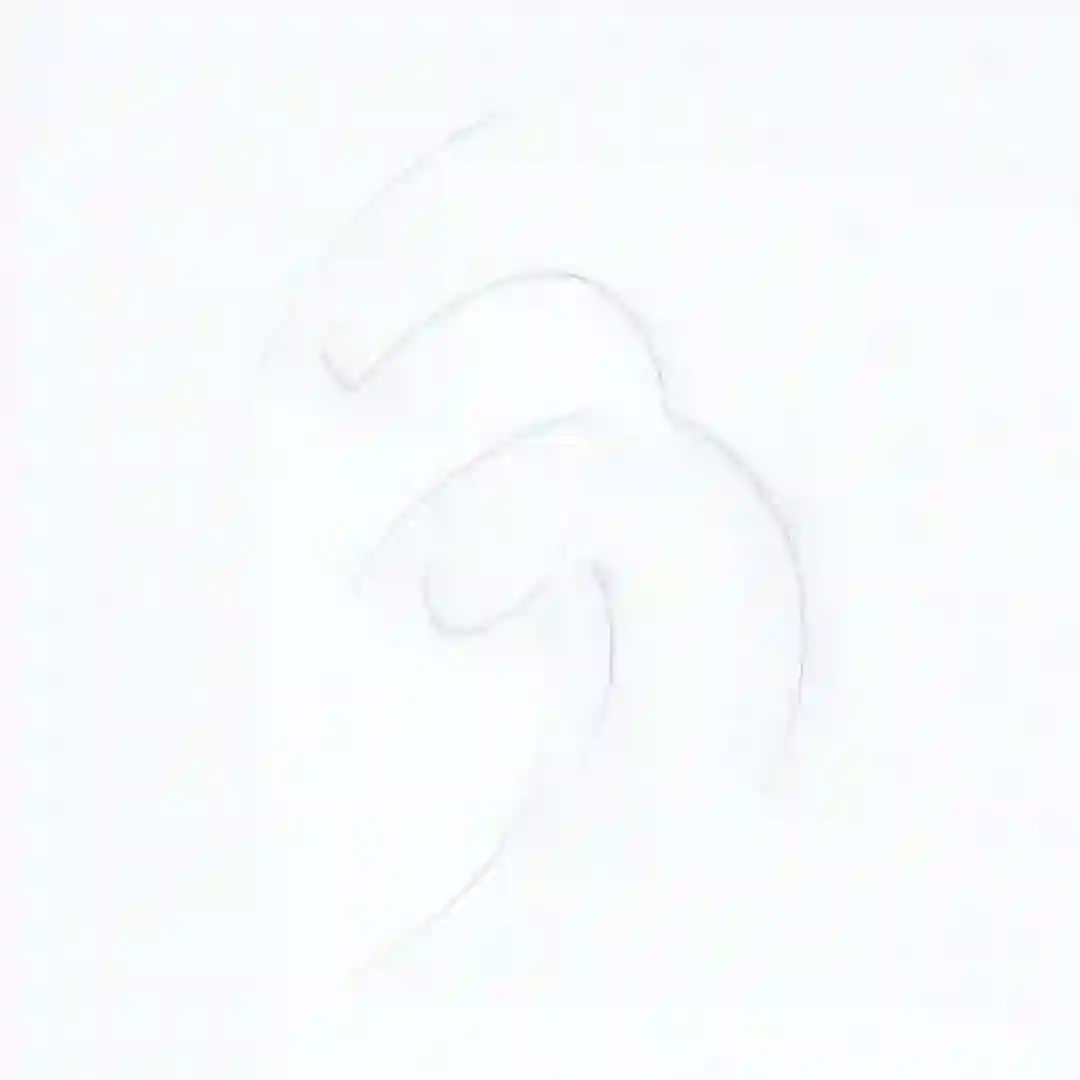 DANZA cover