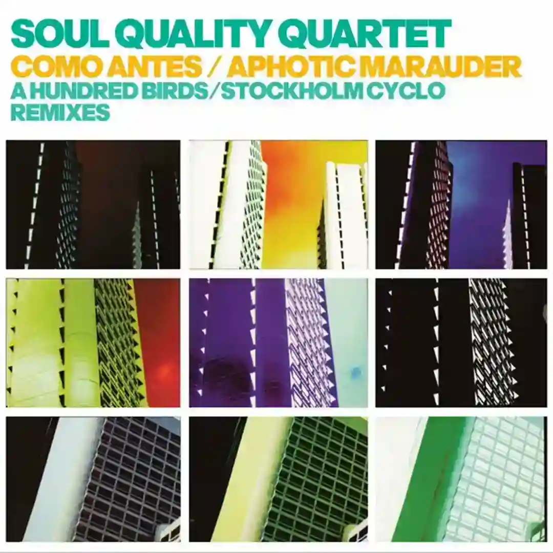 Aphotic Marauder (Stockholm Cyclo Vocal Remix) cover