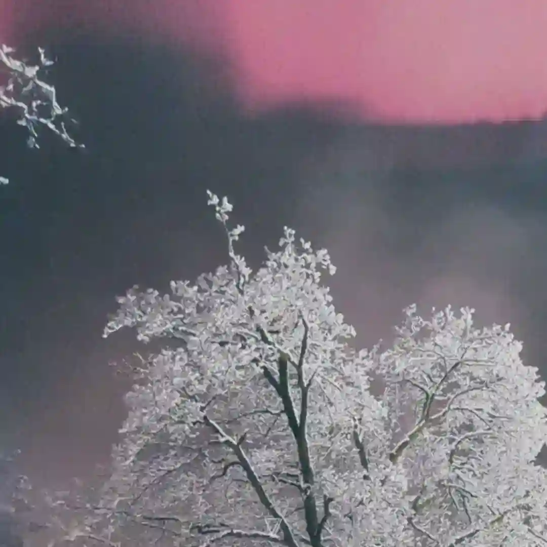 When the City Wakes Up cover