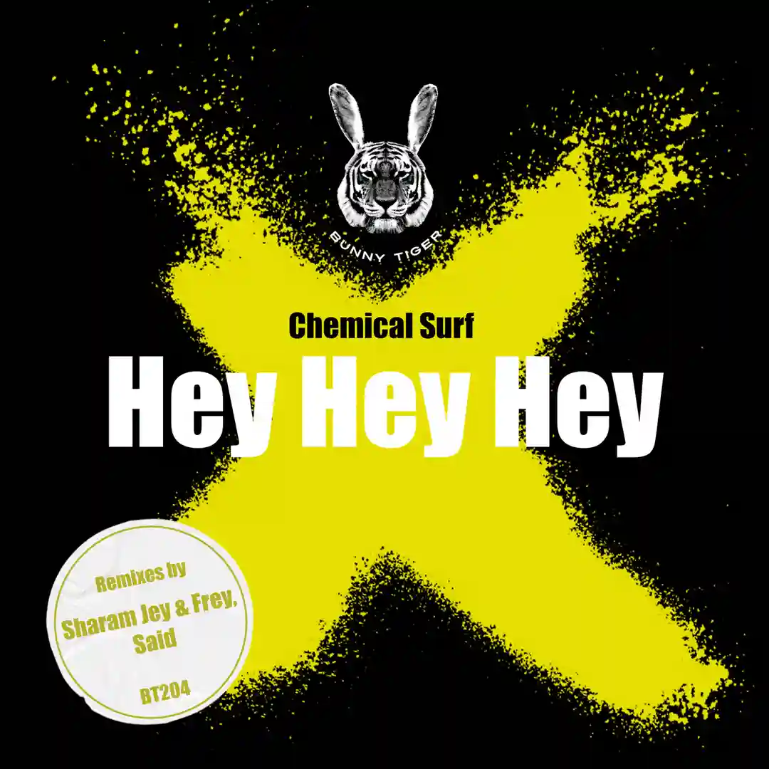 Hey Hey Hey (Said Extended Remix) cover