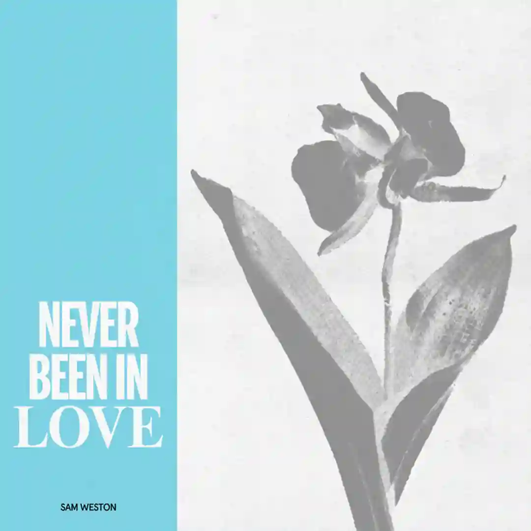 Never Been In Love (Part III) cover