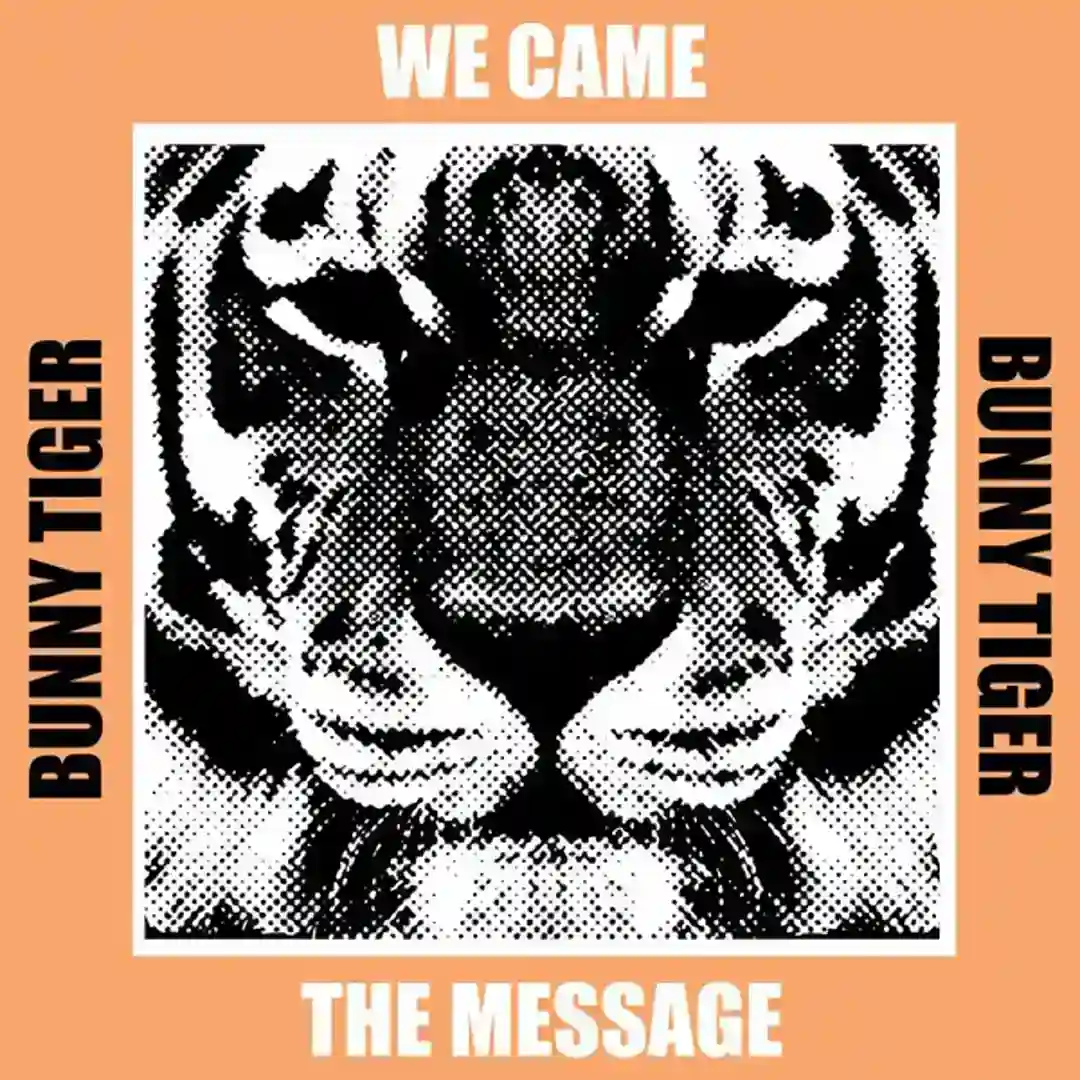 The Message (Original Mix) cover