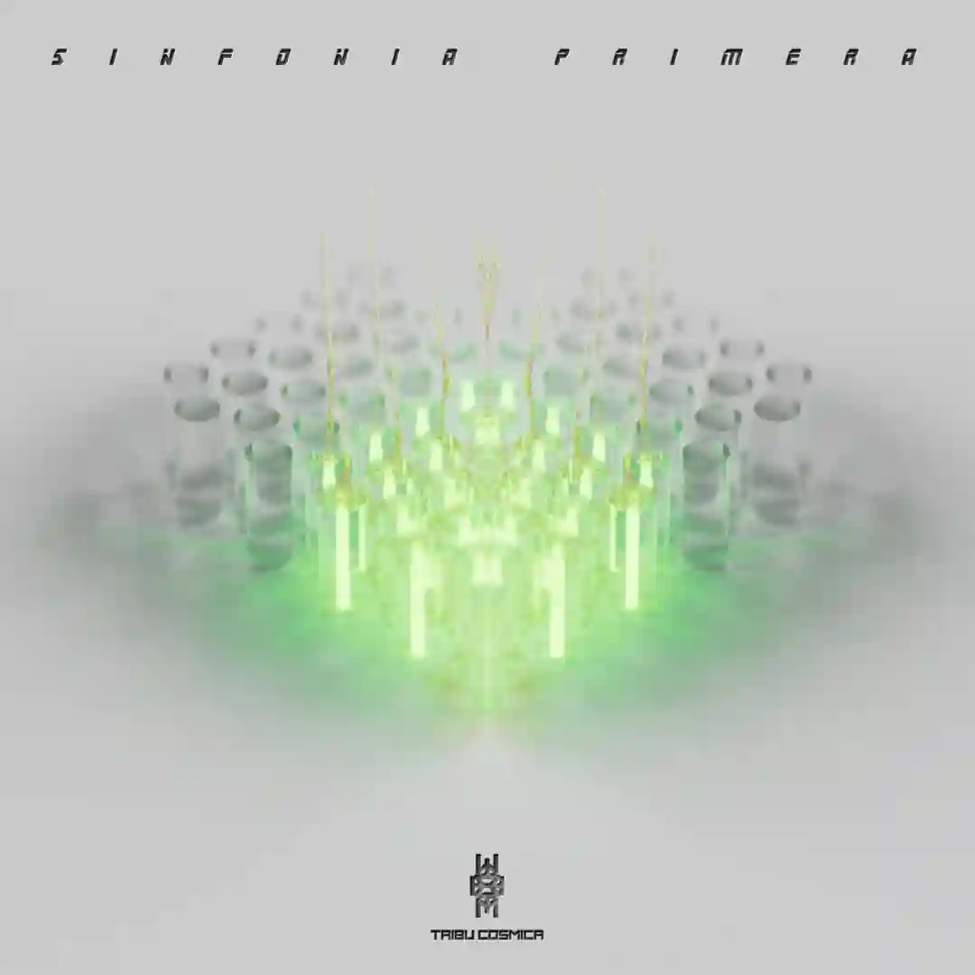 Sinfonía Primera cover