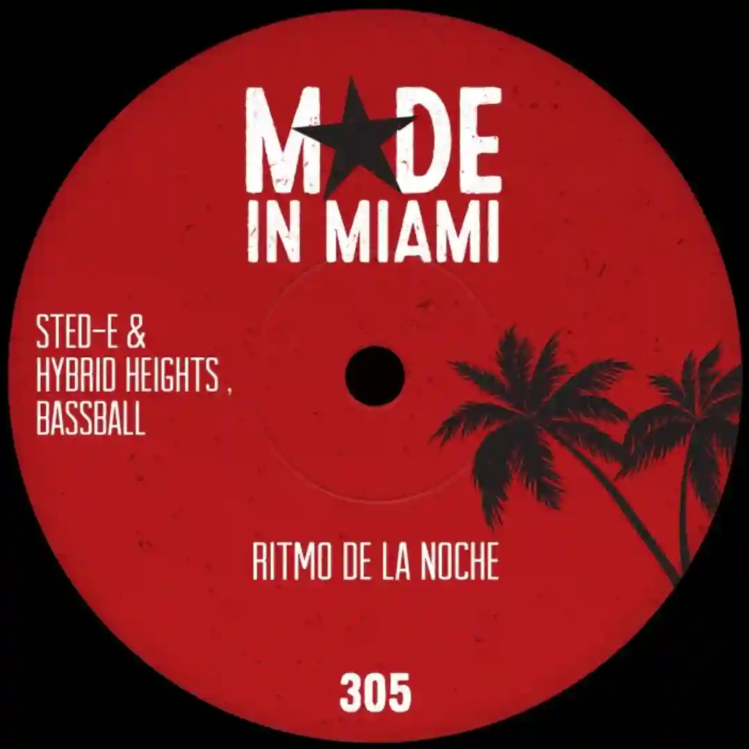 Ritmo De La Noche cover