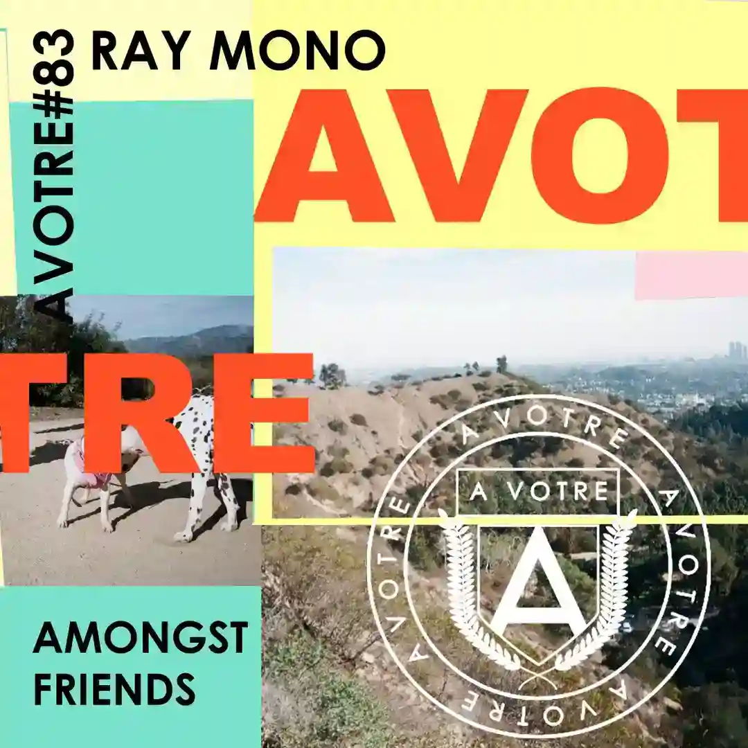Amongst Friends cover