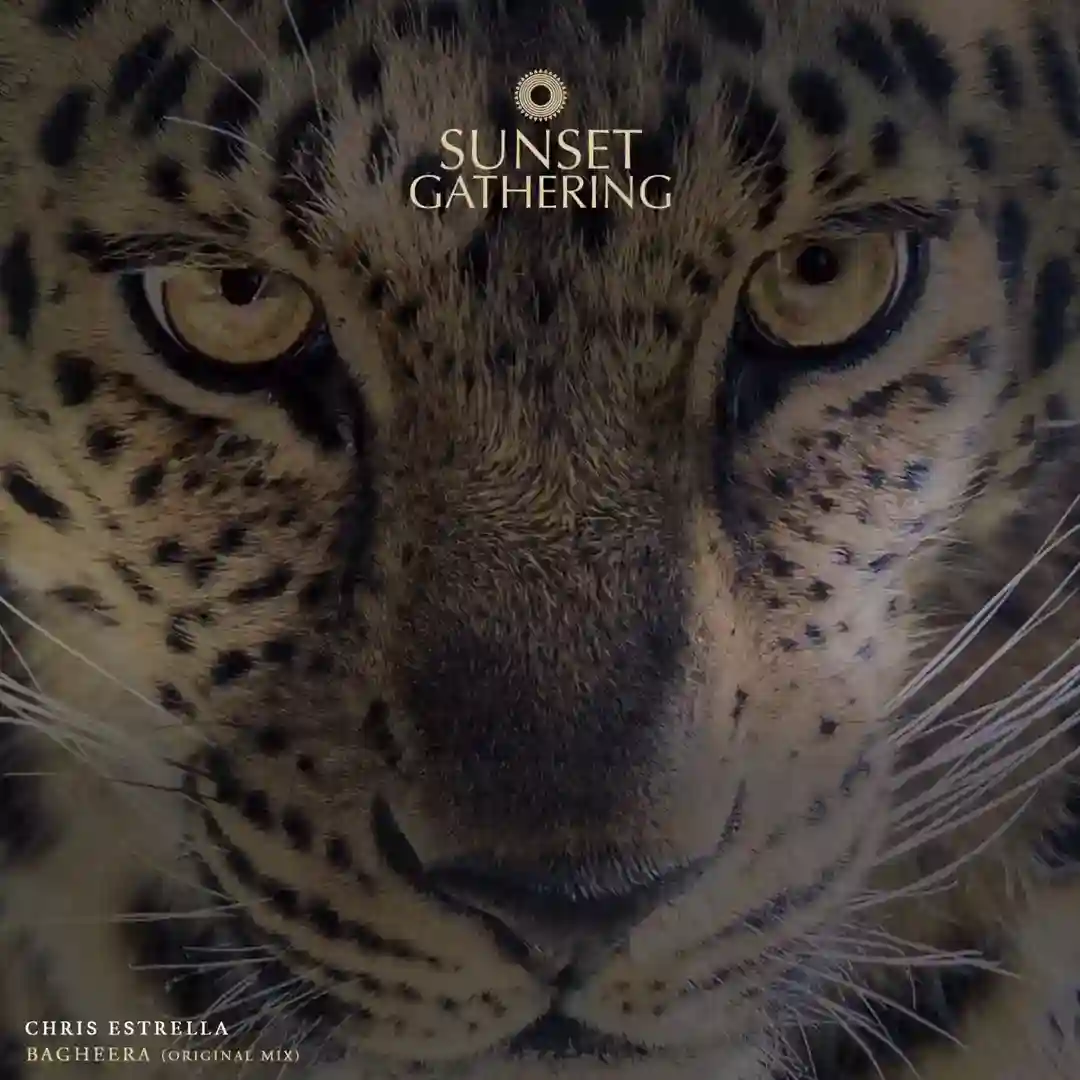 Bagheera (Original Mix) cover