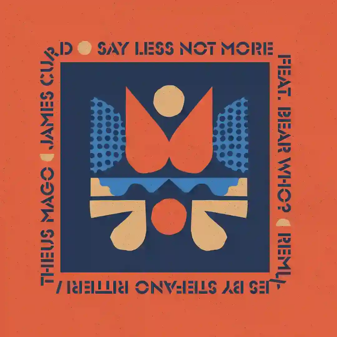 Say Less Not More feat. Bear Who? (Stefano Ritteri Remix) cover