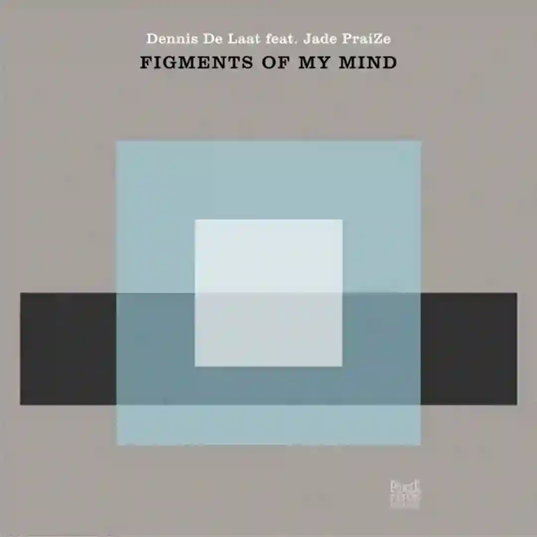 Figments Of My Mind cover