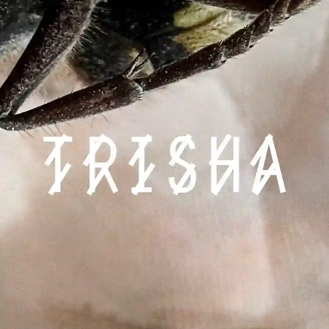 TRISHA cover