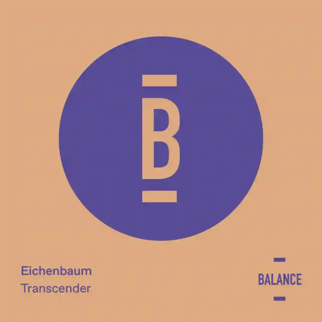 Transcender (Fran Garay Remix) cover