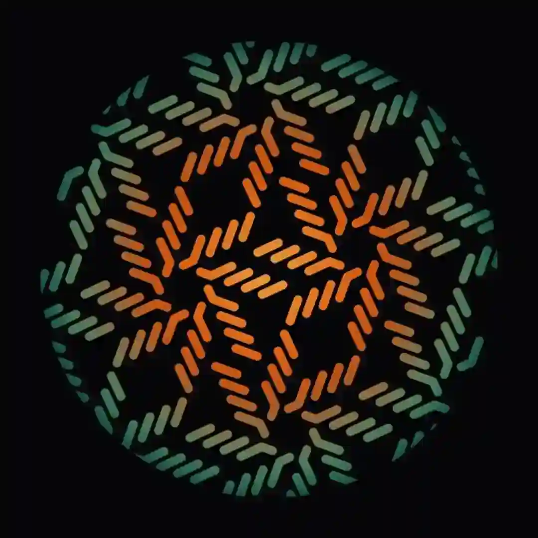 South Signatures cover