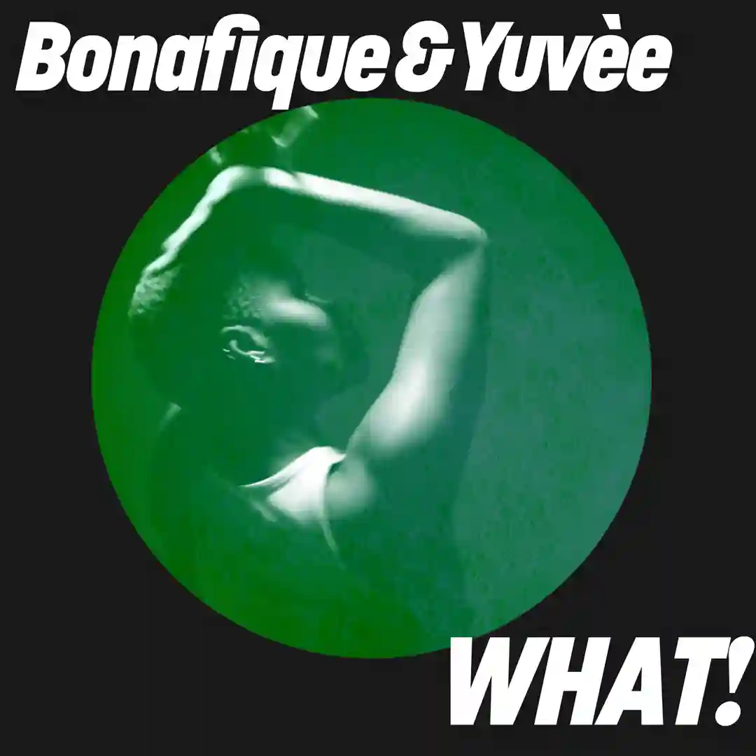 WHAT! (Extended Mix) cover