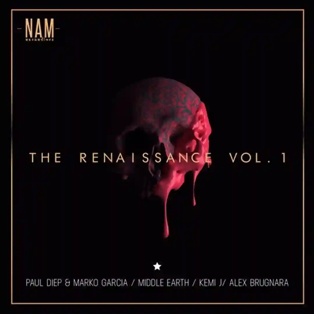 The Renaissance, Vol. 1 cover