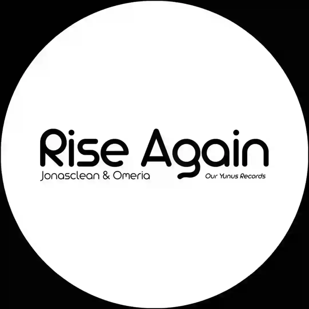 Rise Again cover