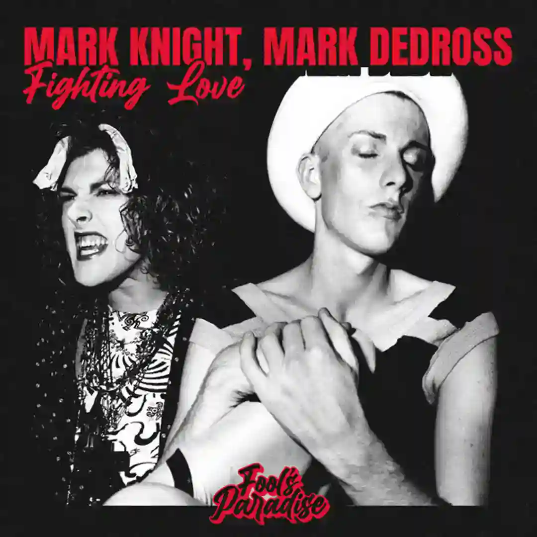 Fighting Love cover