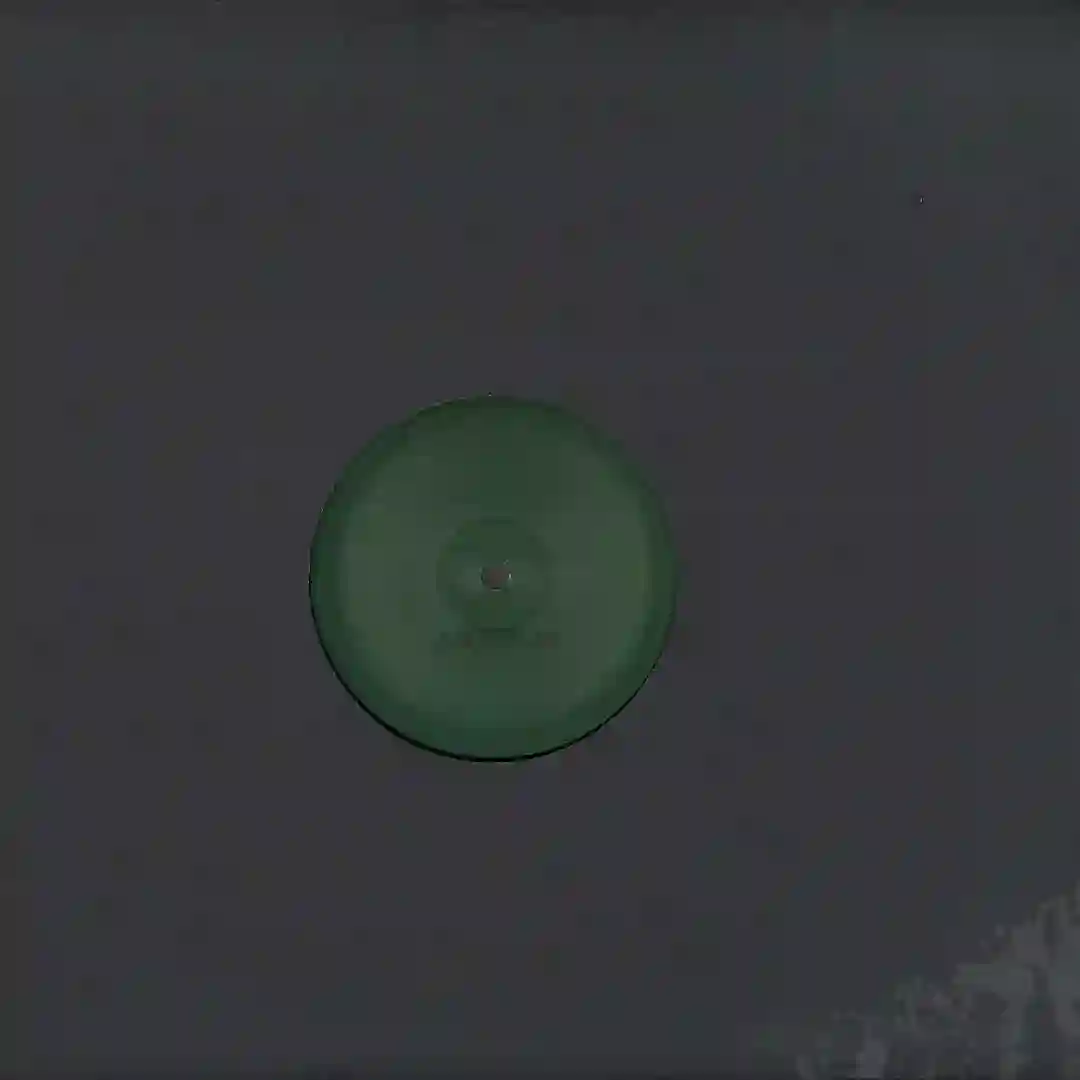 Fried Neurons cover