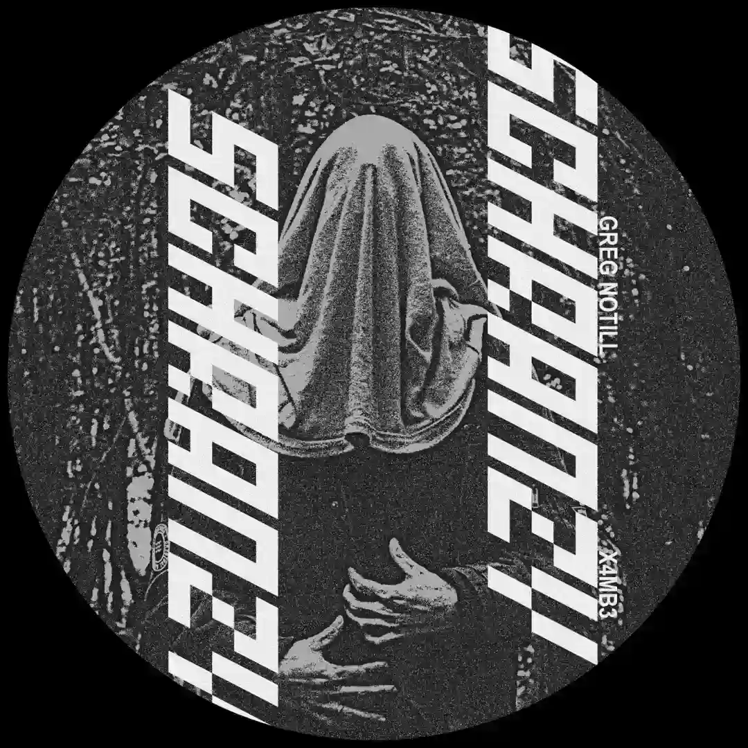 Veil Of Echoes (Original Mix) cover