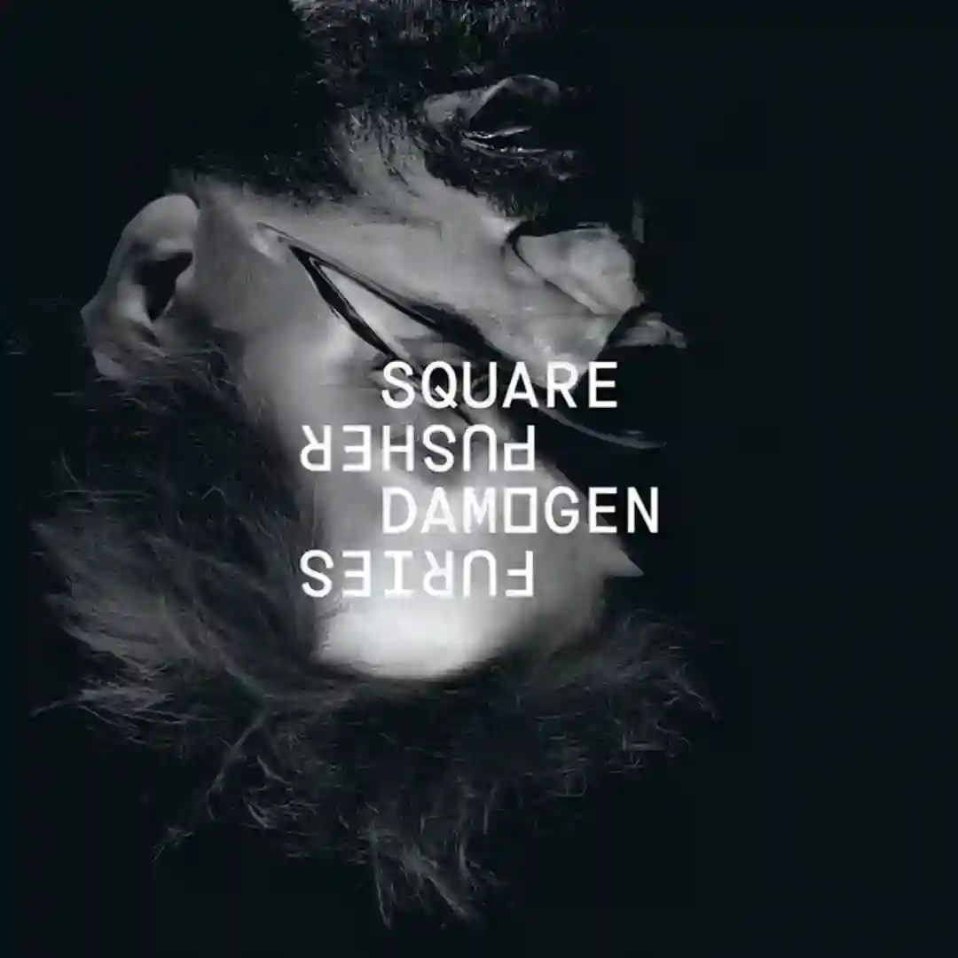 D Fronzent Aac cover