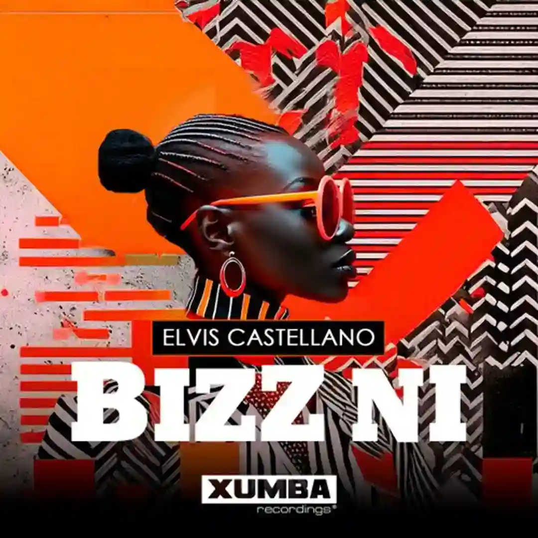 Bizz Ni cover