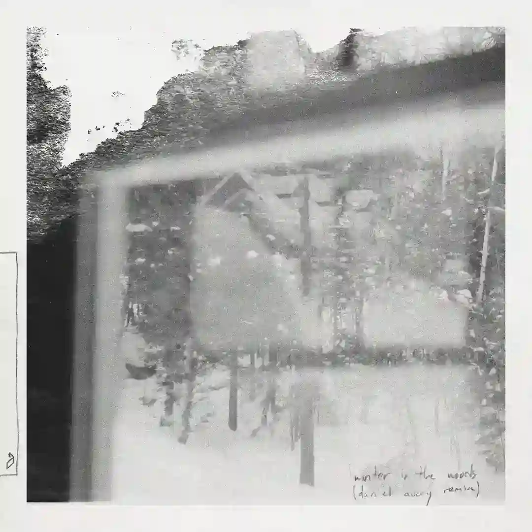 Winter In The Woods (Daniel Avery Remix) cover