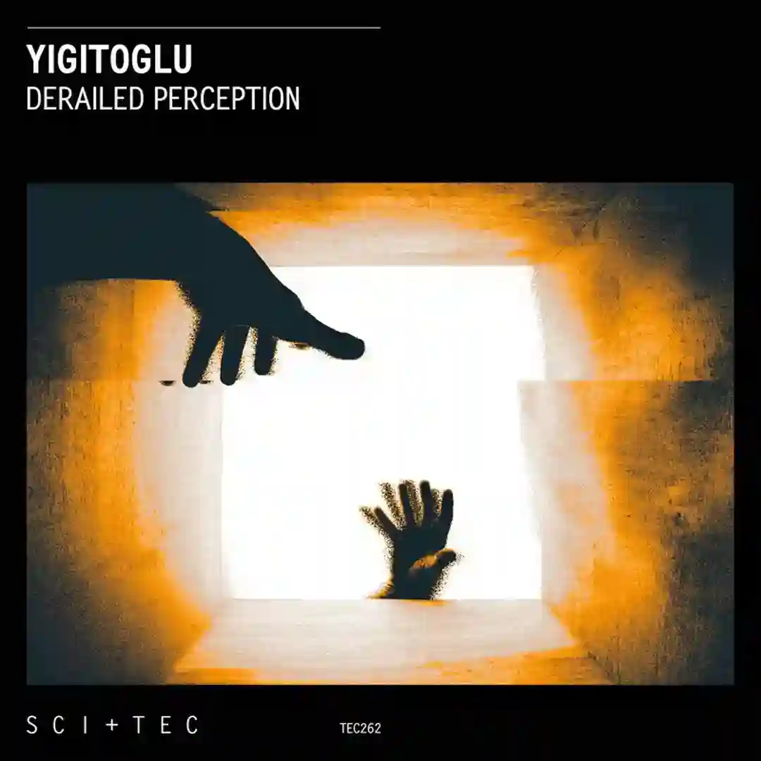 Derailed Perception cover